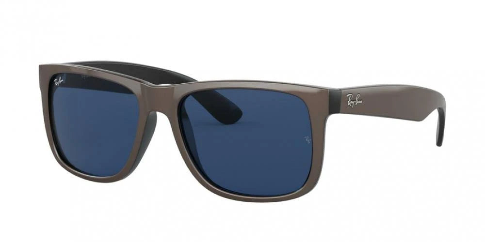 Sunglasses V40148