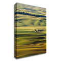 Canvas Print J927223