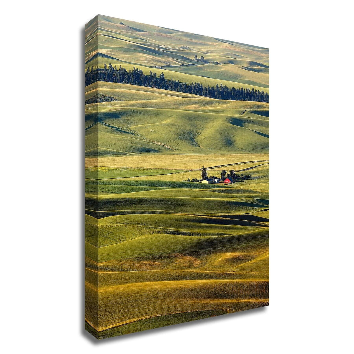 Canvas Print J927223