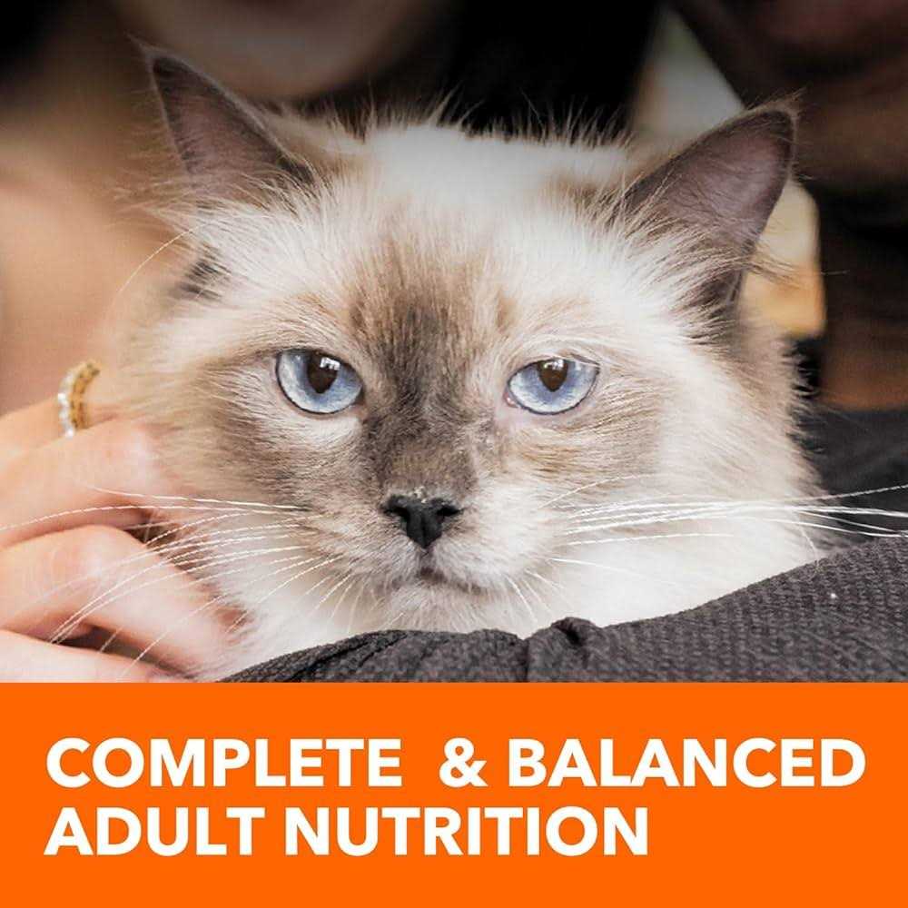 Sensitive Digestion & Skin Dry Cat Food H216