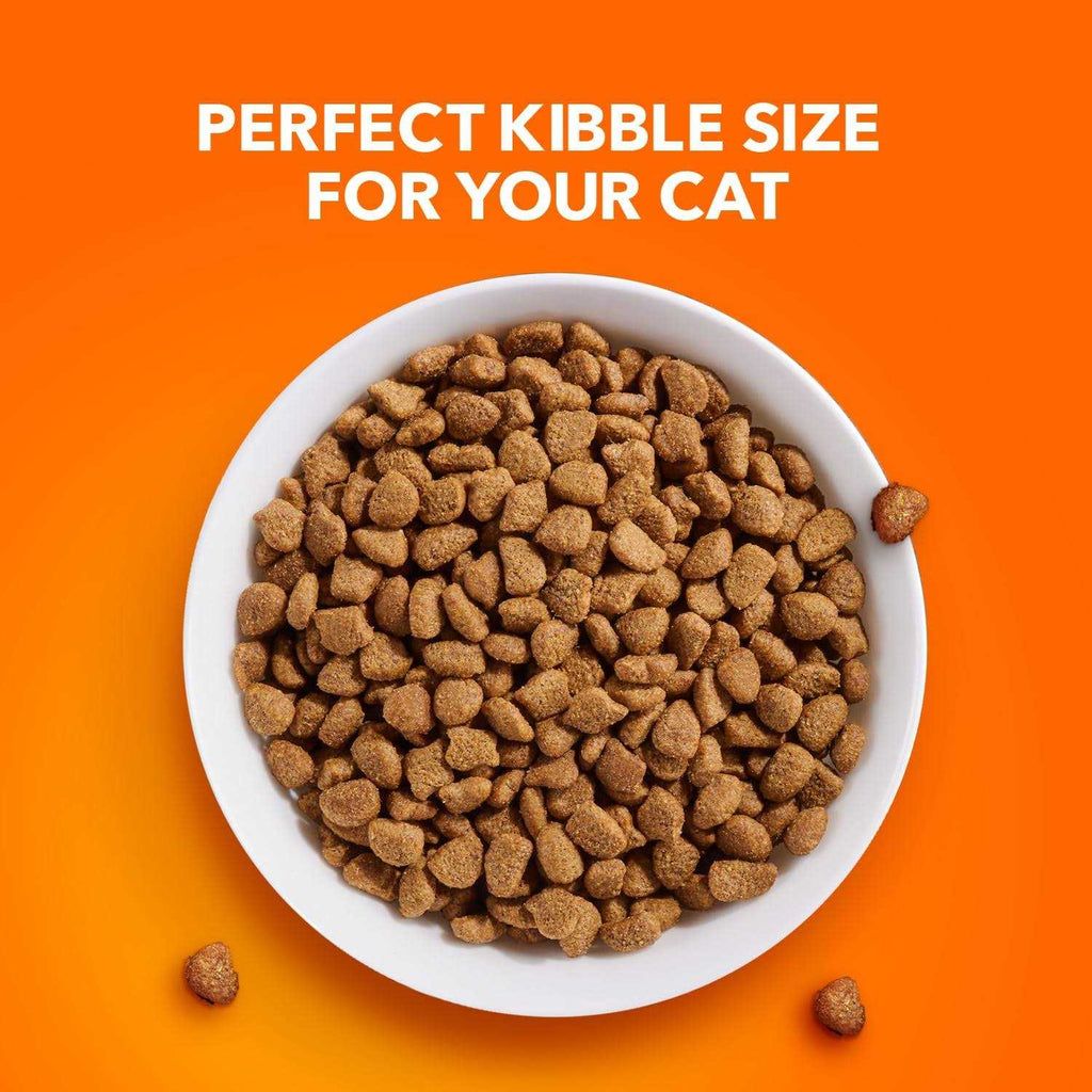 Sensitive Digestion & Skin Dry Cat Food H216