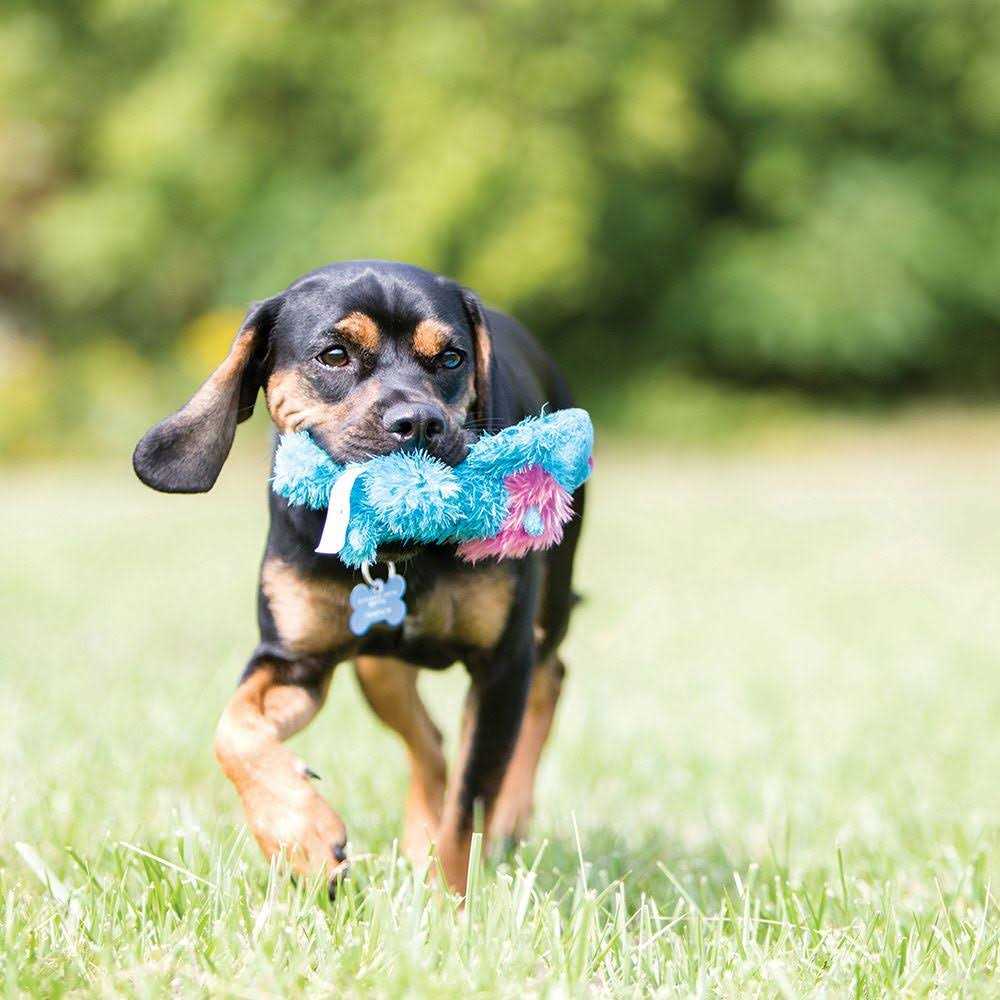 Dog Toy O206
