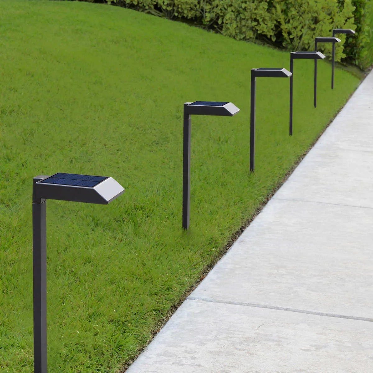 Solar LED Pathway Lights, 6-Pack K659
