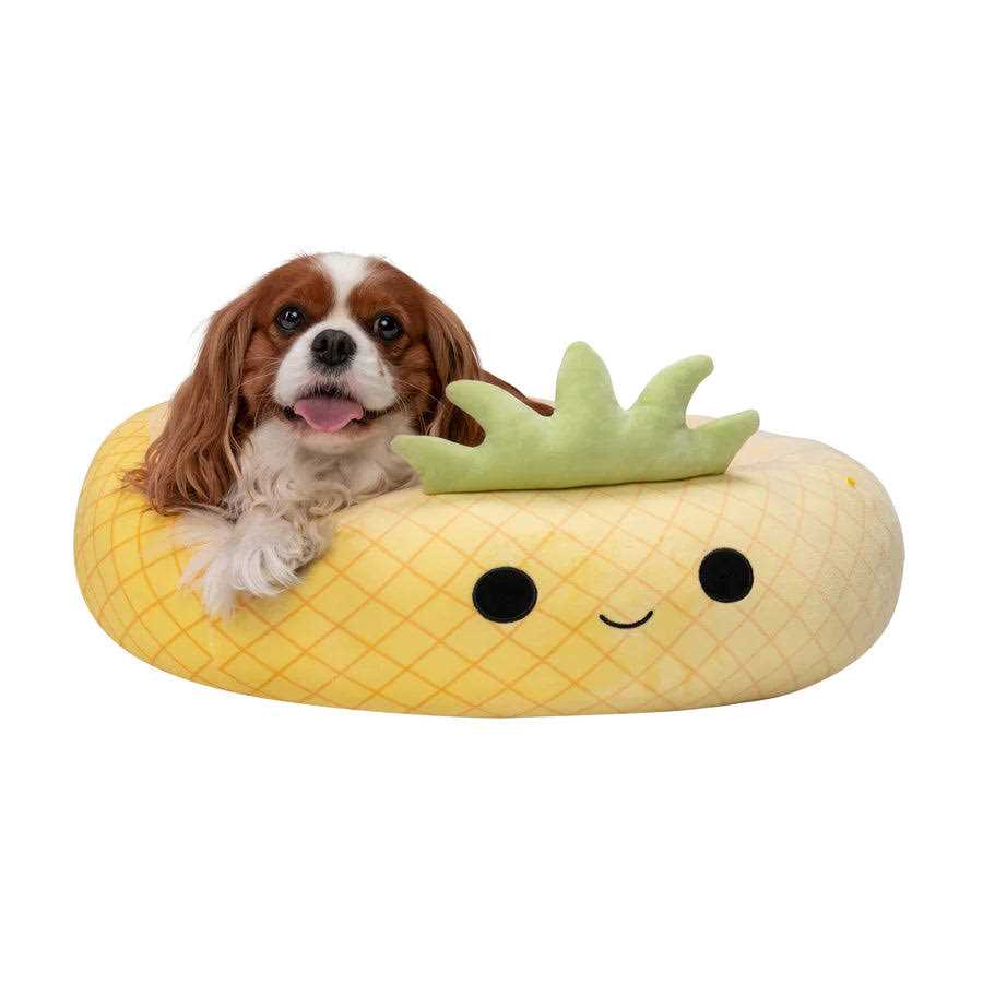Pineapple Pet Bed R7733