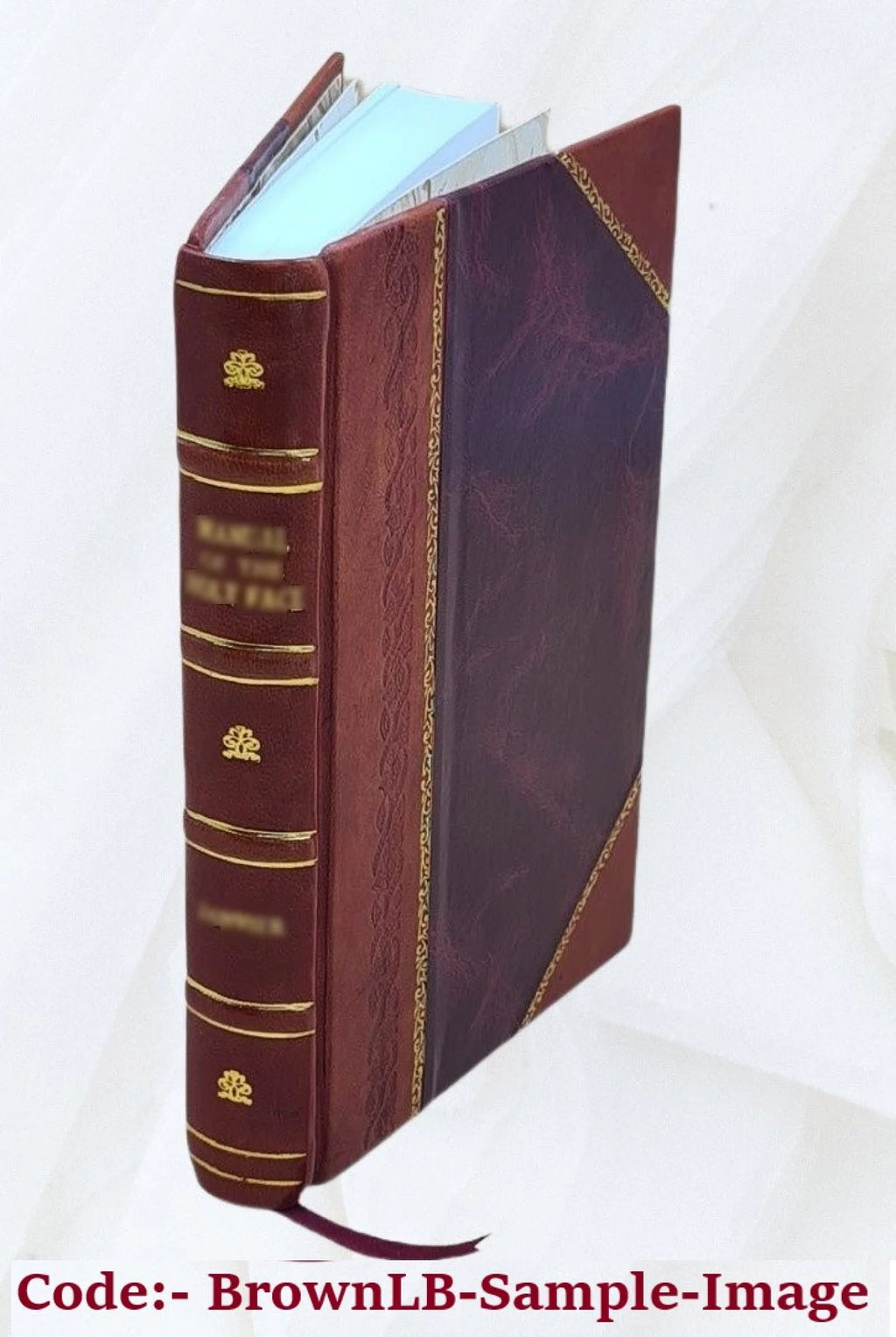 Vita, morte, e traslationi delli gloriosi SS. martiri Fermo e Rustico L349002