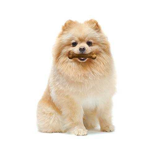 Healthy Edibles Dog Treats T75011
