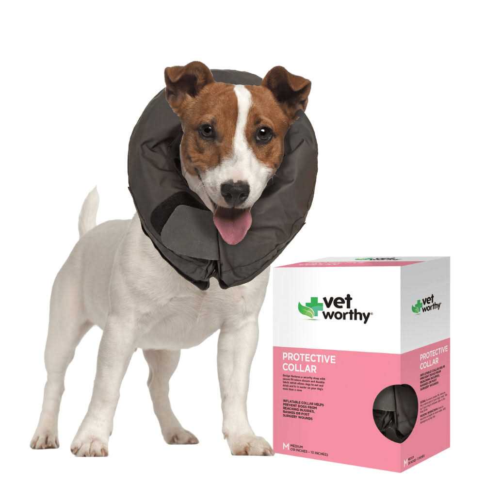Inflatable Protective Dog Collar R3345