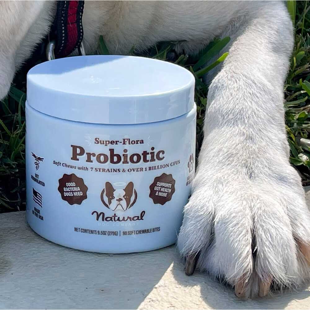 Probiotic Supplement B83661