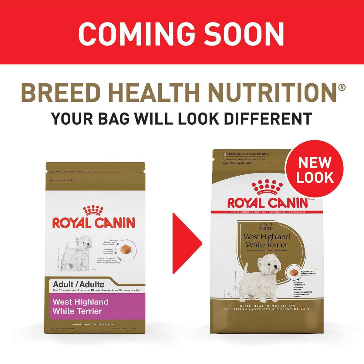 Adult Dry Dog Food X1300