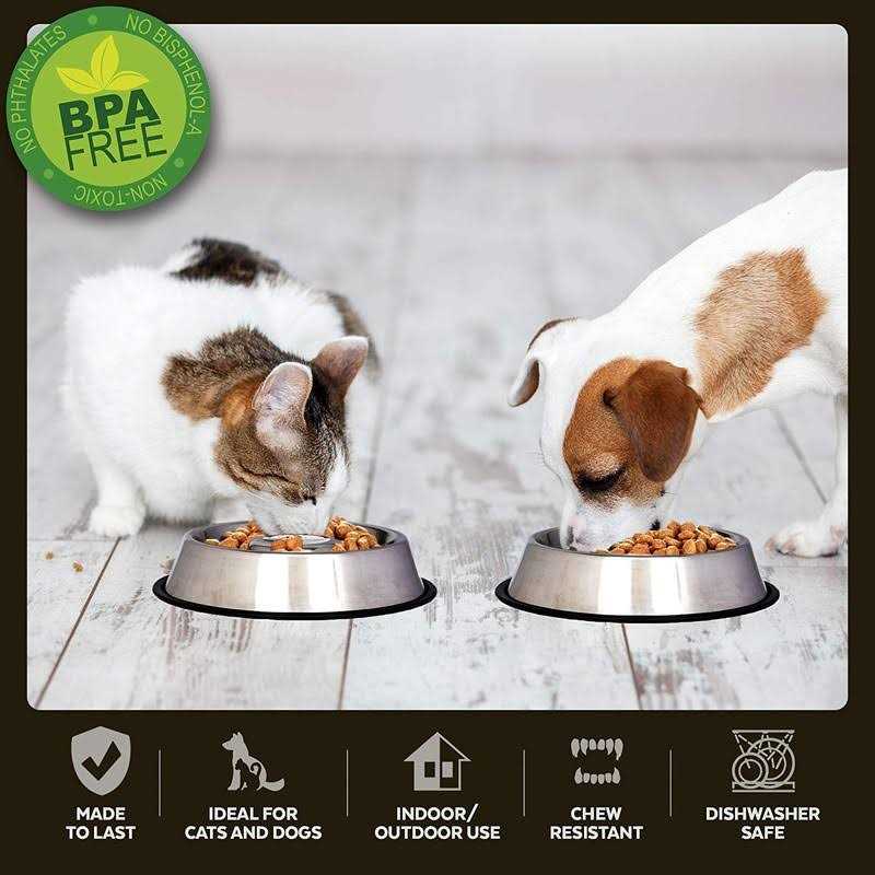 Stainless Steel Slow Feed Pet Bowl W666964