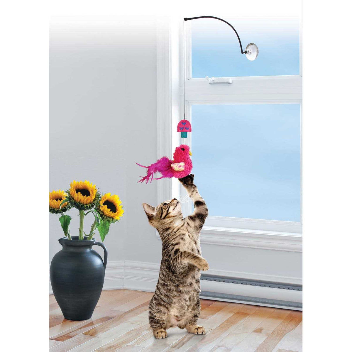 Cat Teaser A946