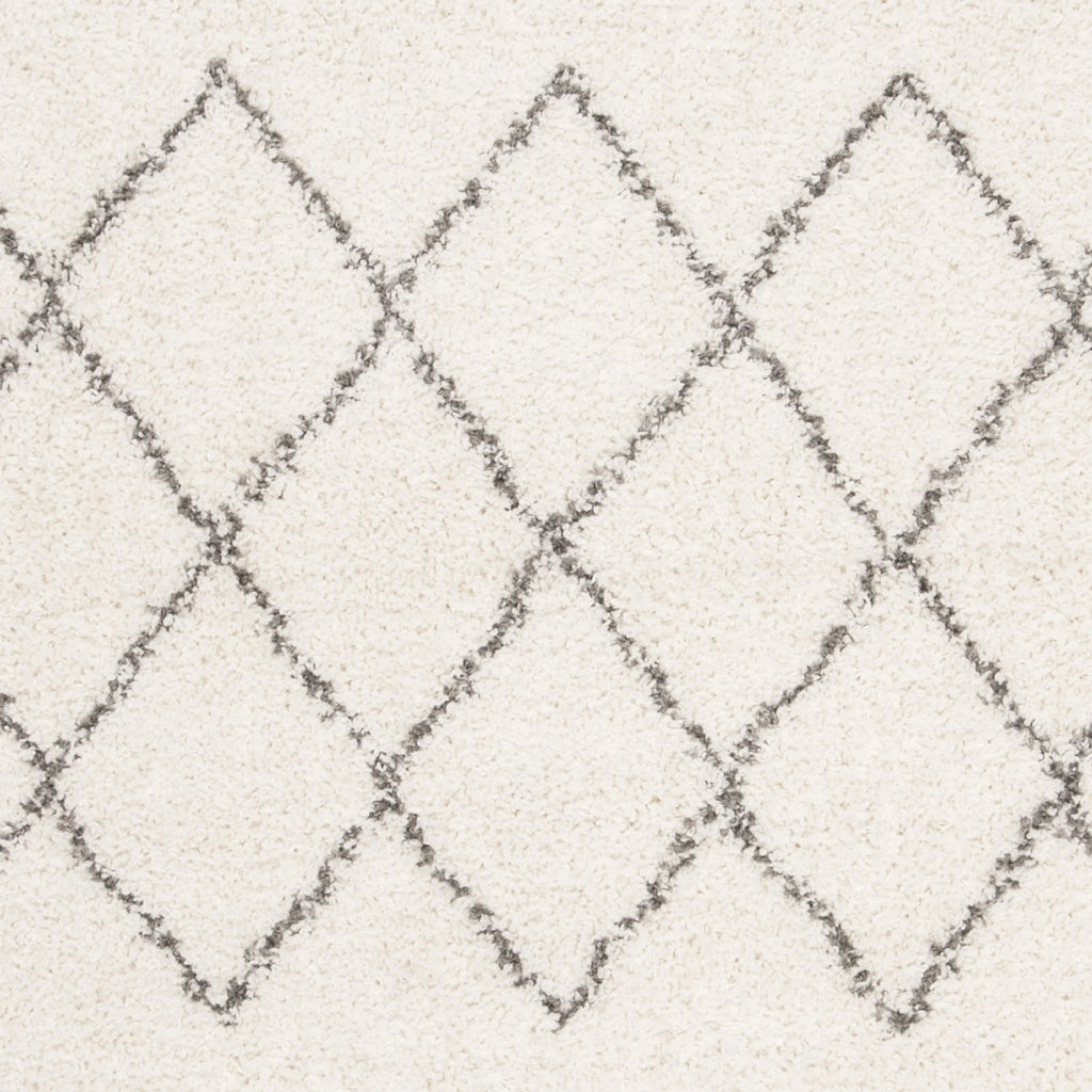 Ivory Grey 4' x 6' Geometric Shag Area Rug Z938486