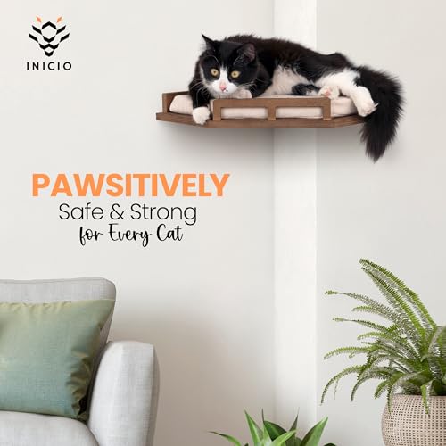 Brown 3 Step Cat Wall Shelves P25649