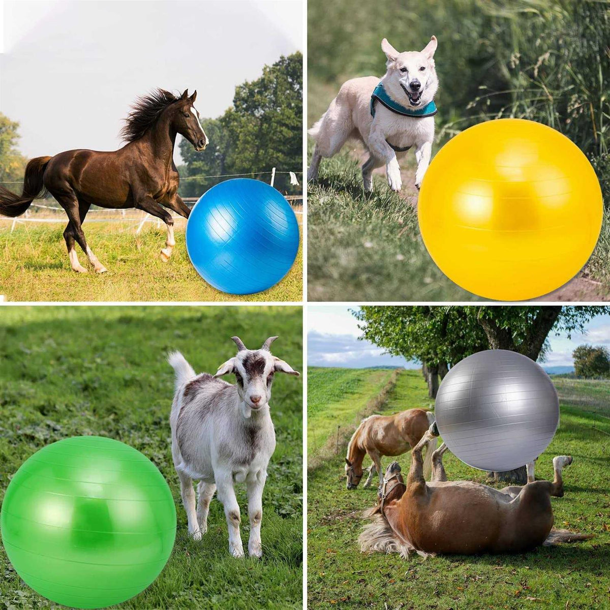 30 Inch Anti-Burst Horse Herding Ball with Pump F594