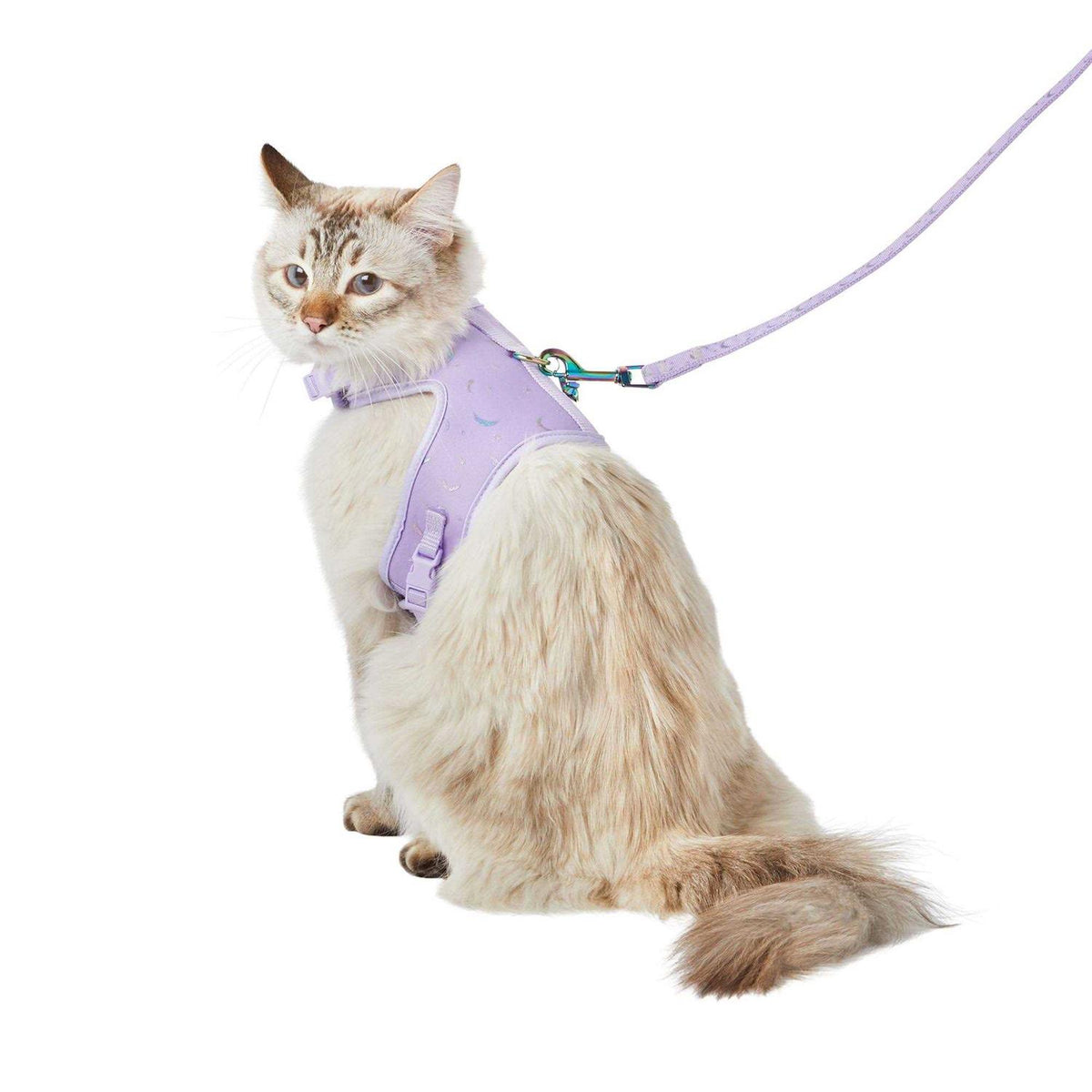Cat Leash & Harness Combo G2133