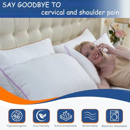 King Size Set of 2 Breathable Down Alternative Microfiber Pillows M74477