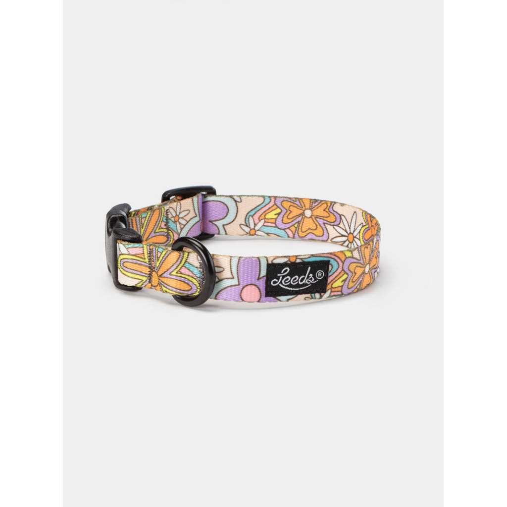 Dog Collar Q9119