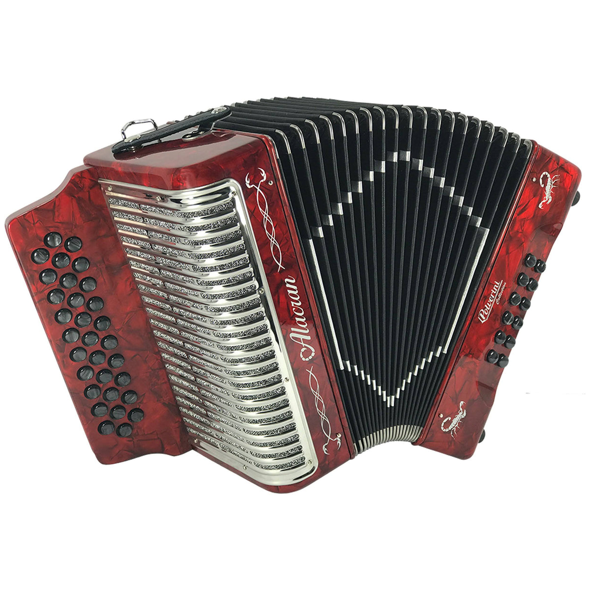 31 Button 12 Bass Accordion with Straps and Case R891932