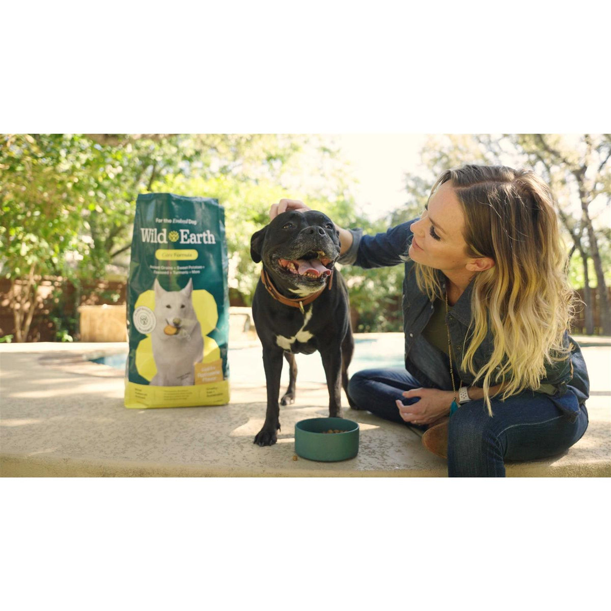Golden Rotisserie Flavor Dry Dog Food O528