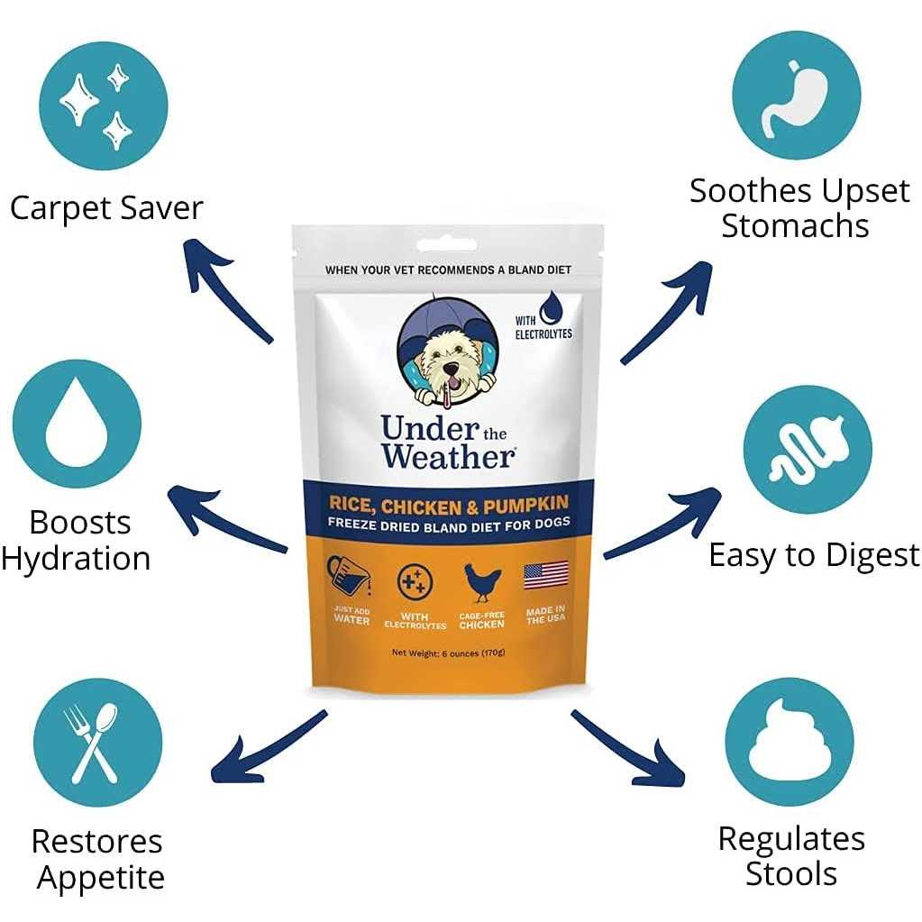 Chicken & Rice Bland Diet for Dogs D390341