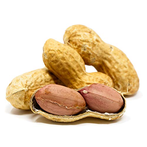 Whole in Shell Raw Peanuts 10lb T20959