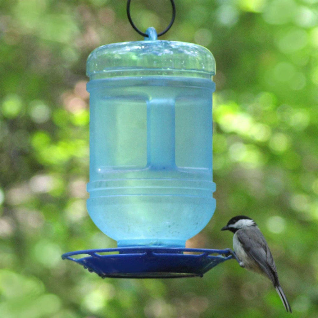 Bird Waterer B6012