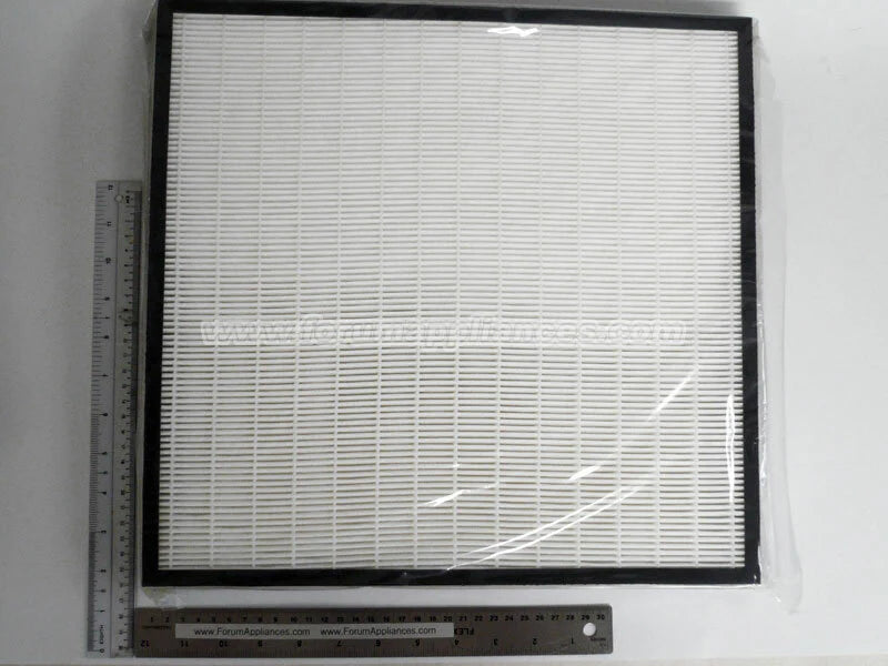 HEPA Filter L579