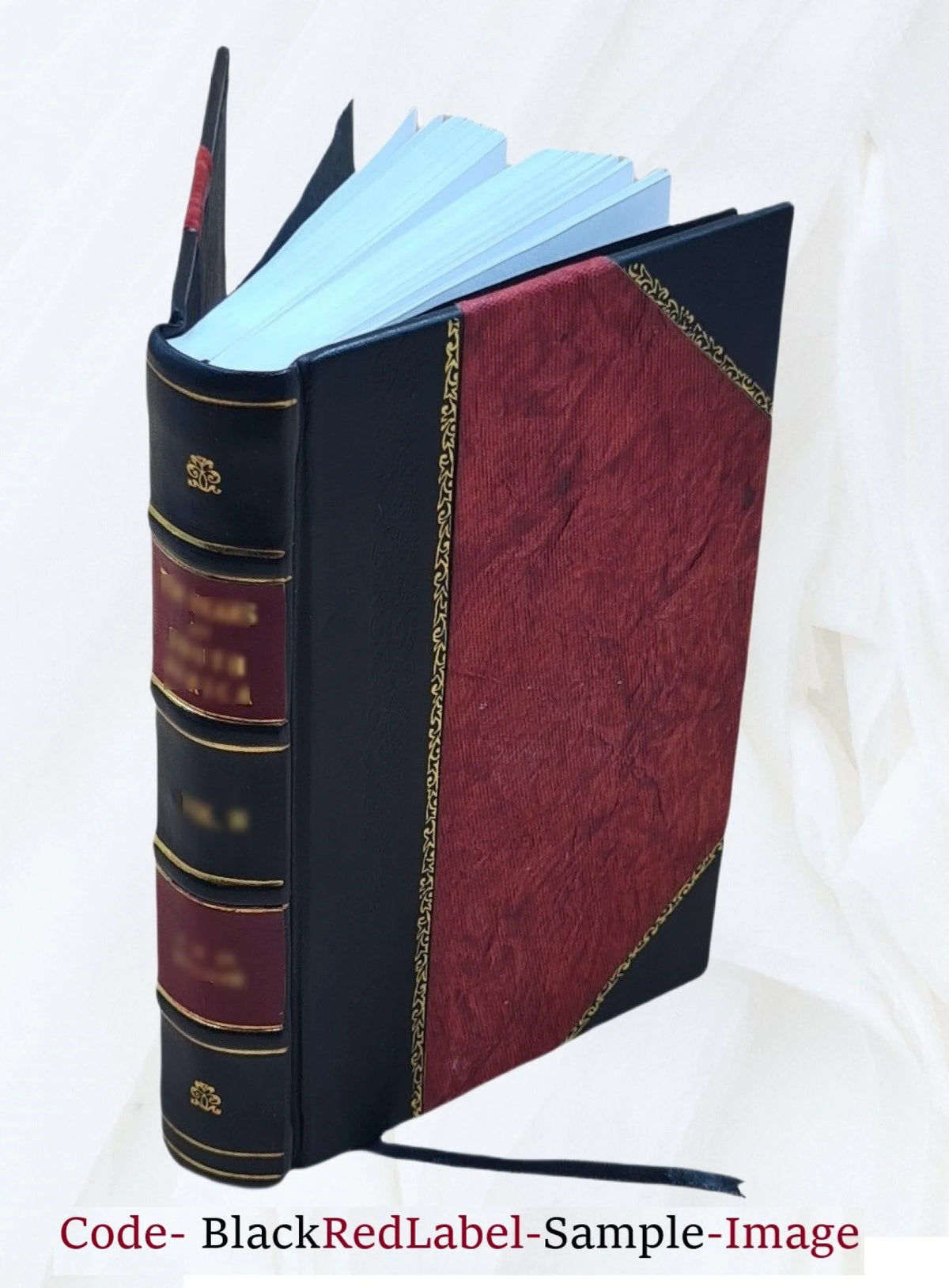 Vita, morte, e traslationi delli gloriosi SS. martiri Fermo e Rustico L349002